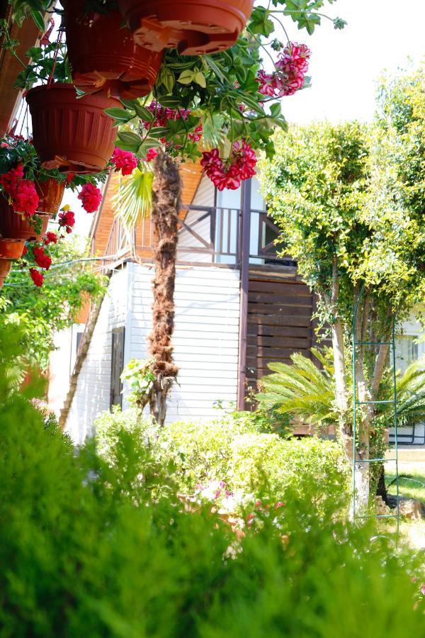 Guest House Alashara Пицунда Екстериор снимка
