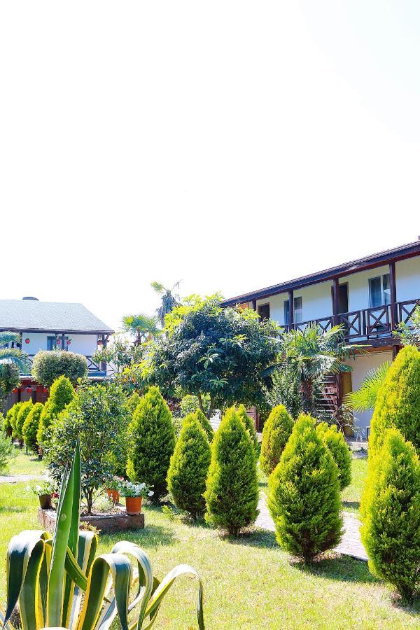 Guest House Alashara Пицунда Екстериор снимка